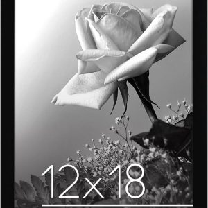 Americanflat 12x18 Poster Frame with Polished Plexiglass - Black Picture Frame with Engineered Wood - Epic Collection - Wide Photo Frame for Wall Display
