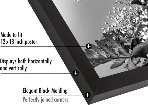 Americanflat 12x18 Poster Frame with Polished Plexiglass - Black Picture Frame with Engineered Wood - Epic Collection - Wide Photo Frame for Wall Display - Image 3